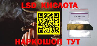 дмт Будённовск